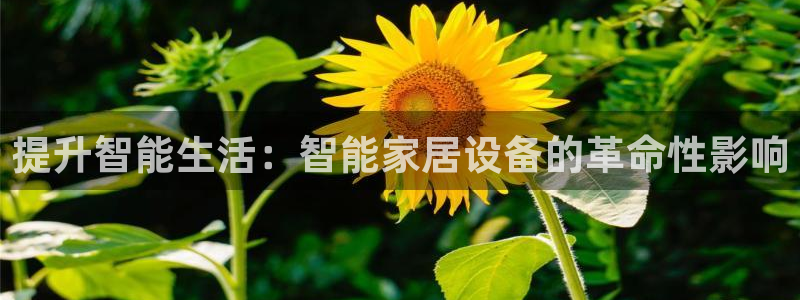 uG环球游戏网站