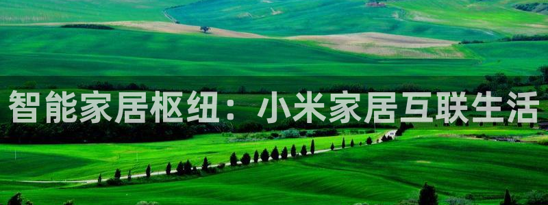 ug环球买分卖分