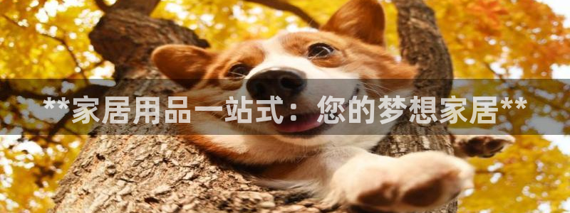 ug环球假网一比一