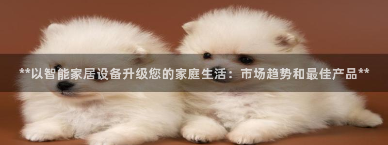 UG环球国际在线