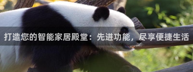 ug环球360