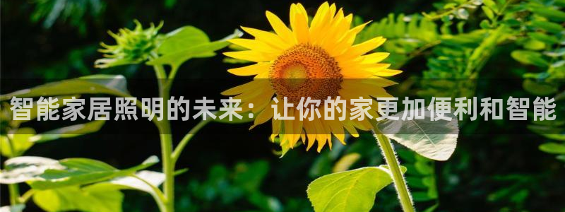 Ug环球网网址