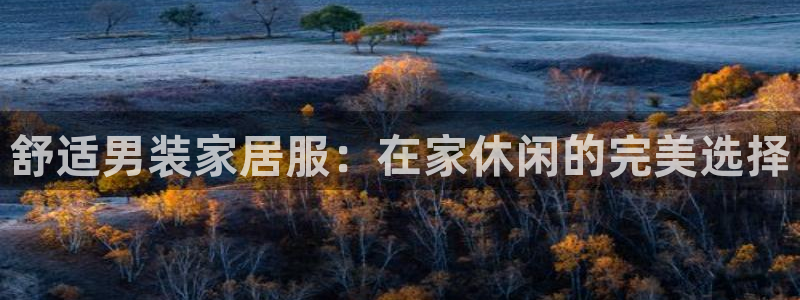 UG环球视讯官网