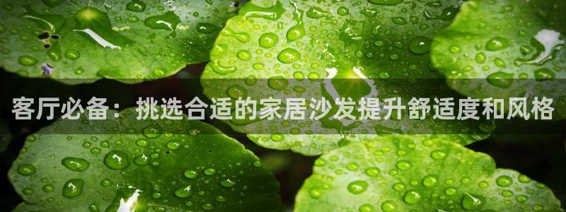 Ug环球网网址