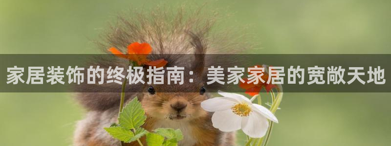 ug环球网