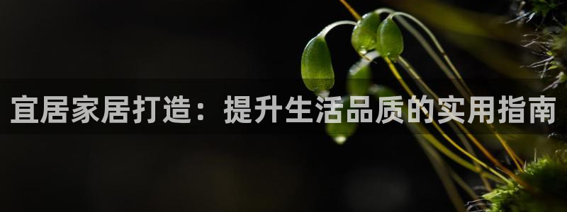 ug环球app下载