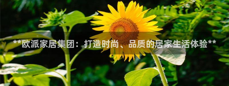 环球ug官网会员注册