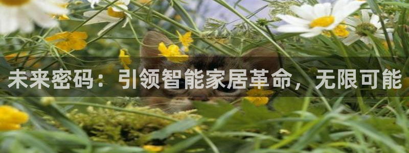 ug环球国际