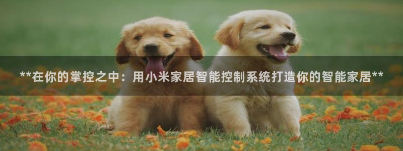 ug环球会员官方客服电话
