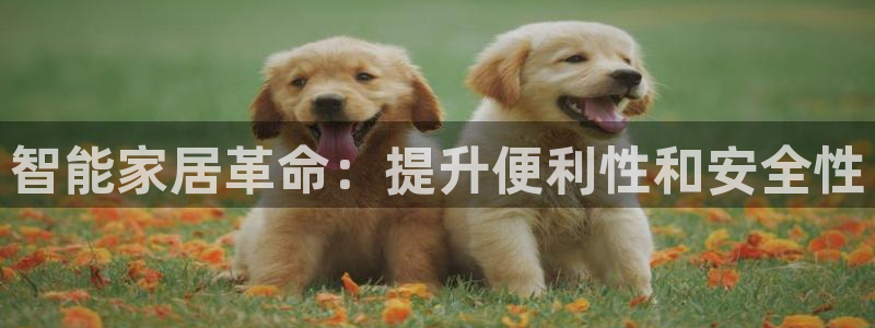 ug环球视讯