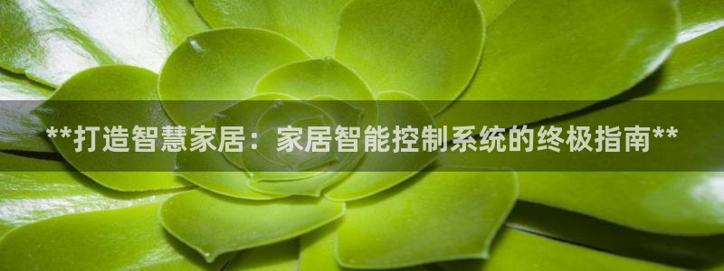 ug环球国际
