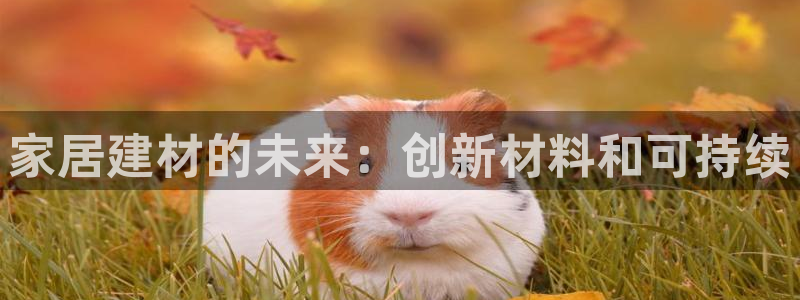 环球ug官网会员注册