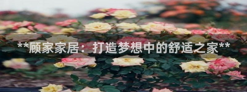 UG环球代理合作