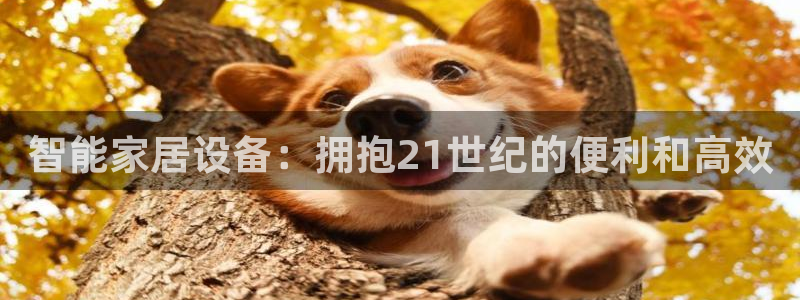 ug环球会员手机版下载官网