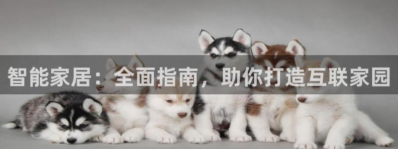 ug环球凯发