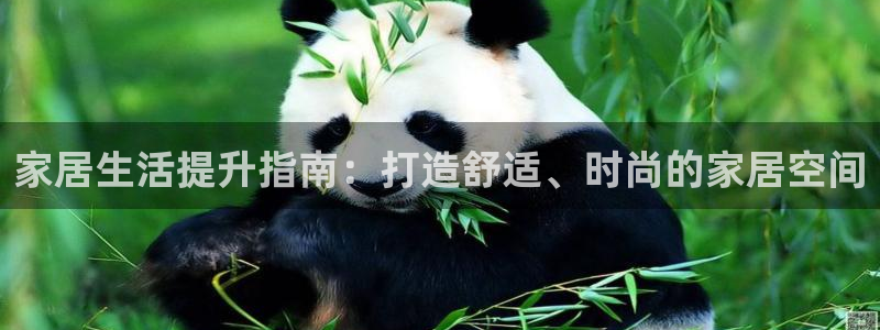 ug环球代理开户