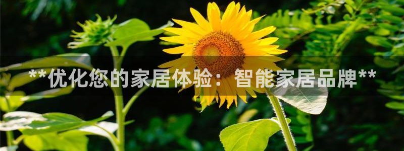ug环球官网入口