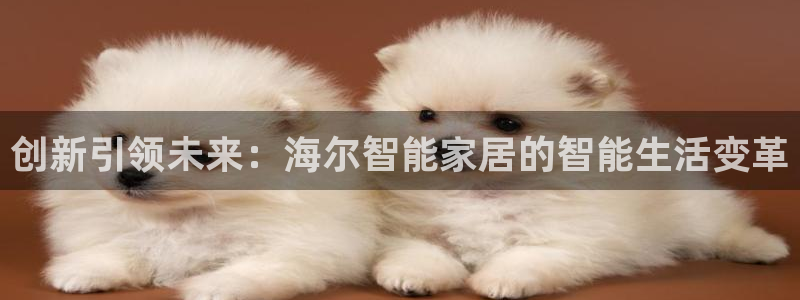 ug环球买代理