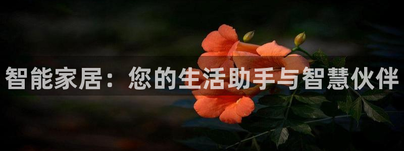 Ug环球网网址