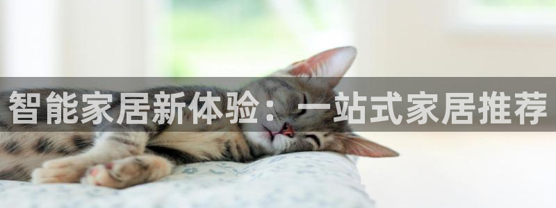 ug环球代理平台官网