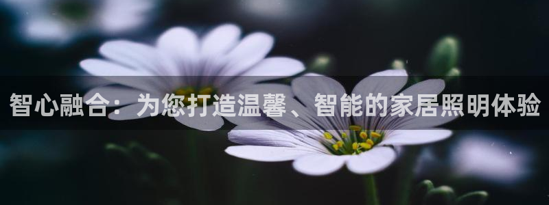 ug环球360代理