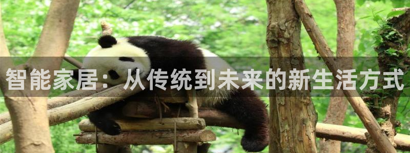 ug环球代理平台