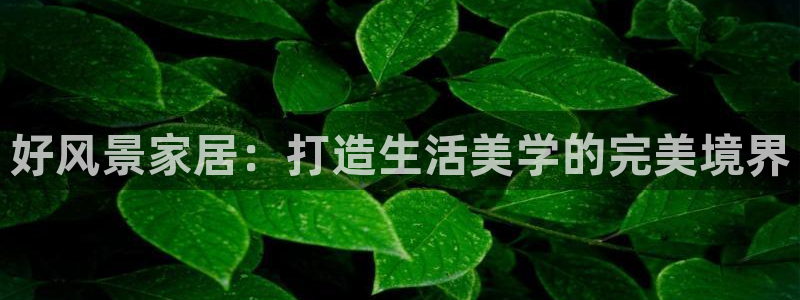 ug环球平台