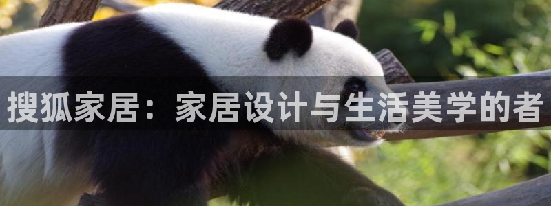 ug环球官网代理