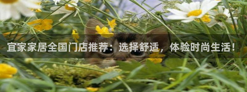 ug环球凯发