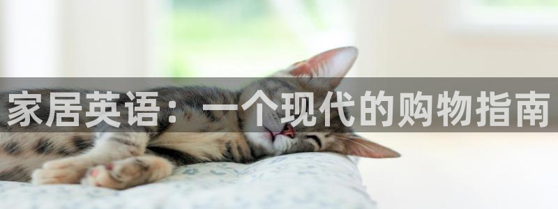 Ug环球网网址
