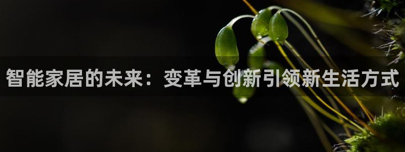 UG环球代理合作