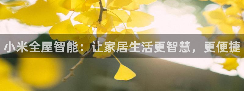 UG环球假网合作