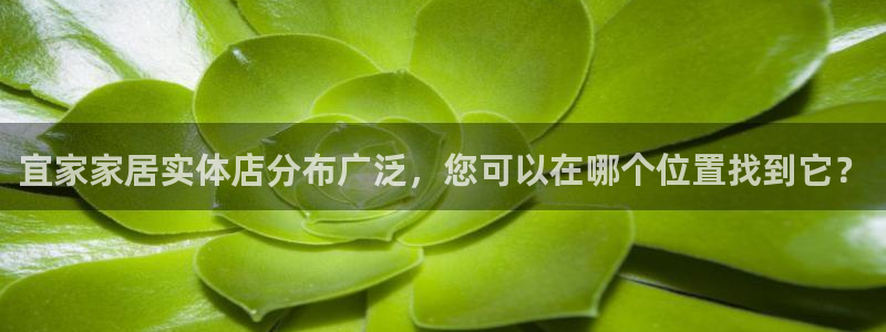 UG环球官网