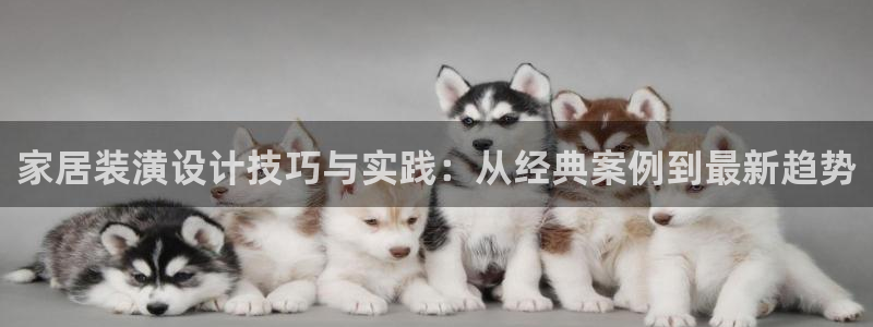 UG环球假网一比一包杀网