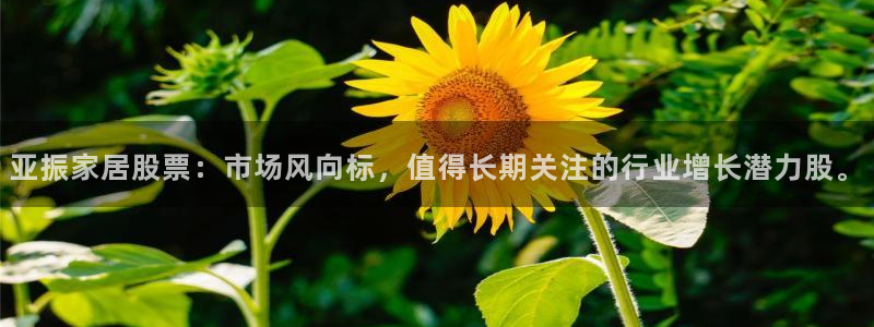 ug环球国际买分