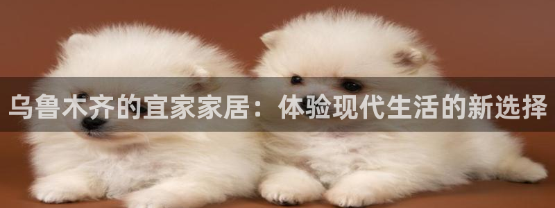 UG环球代理