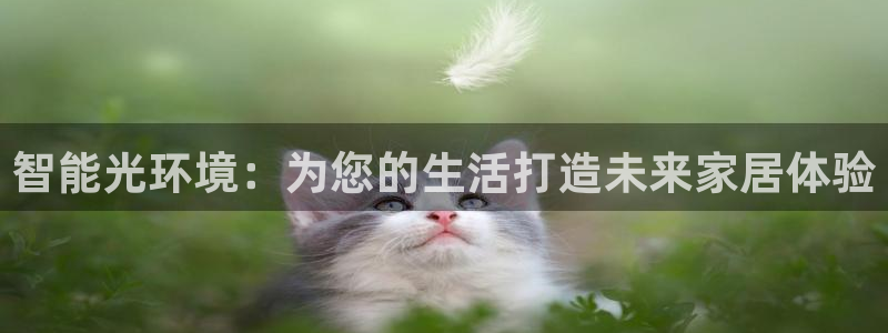 ug环球会员手机版下载官网