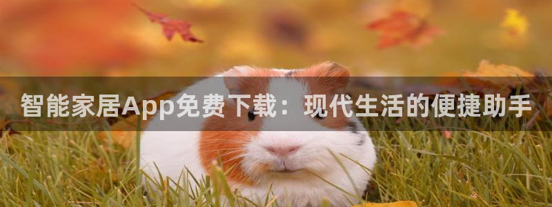 ug环球国际买分