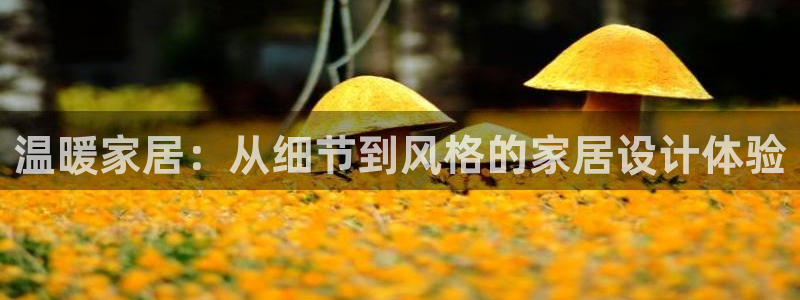 UG环球假网合作