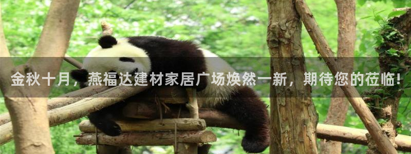 ug环球视讯真假