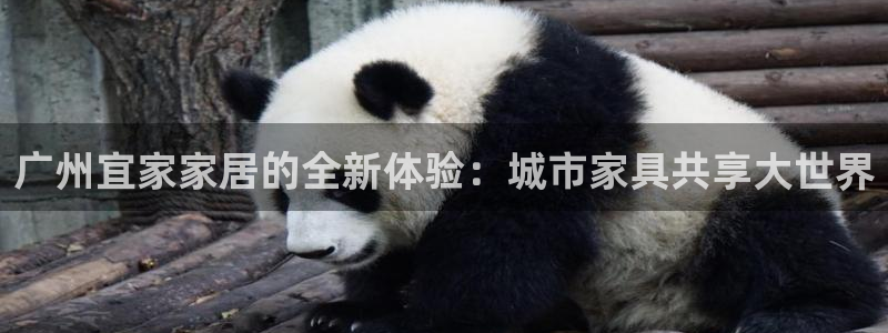 ug环球去唯xkk908