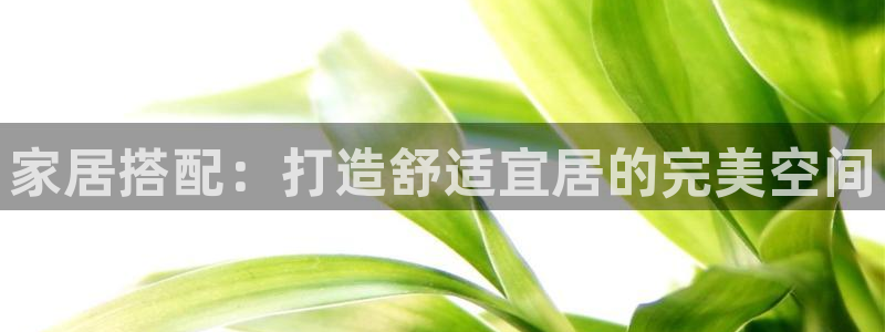 ug环球会员官网
