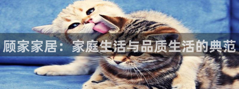 ug环球国际买分