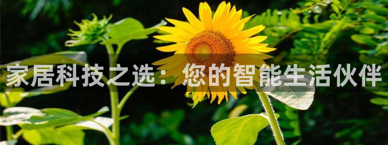 环球ug登录网站 - ug环球会员登录