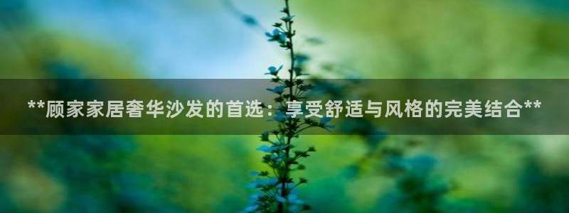 ug环球会员