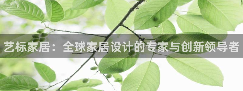 ug环球代理平台官网
