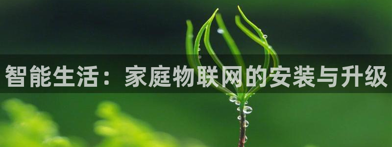 ug环球代理平台官网