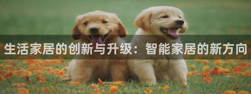 ug环球视讯官网